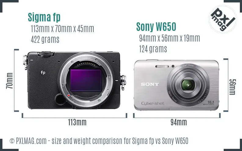 Sigma fp vs Sony W650 size comparison