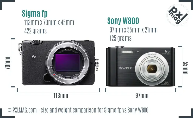 Sigma fp vs Sony W800 size comparison