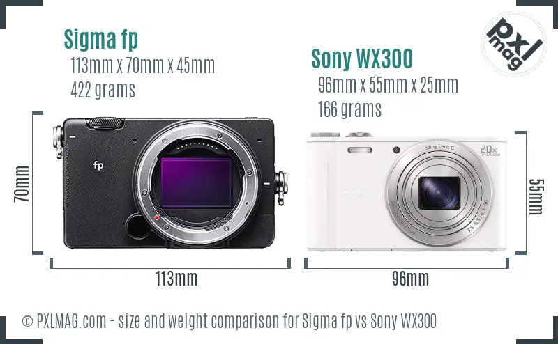 Sigma fp vs Sony WX300 size comparison