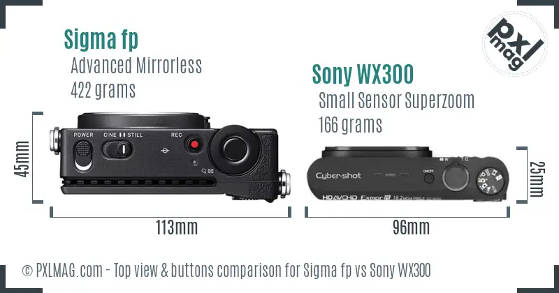Sigma fp vs Sony WX300 top view buttons comparison