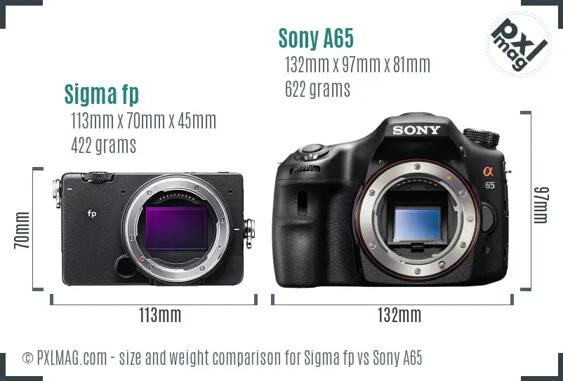 Sigma fp vs Sony A65 size comparison
