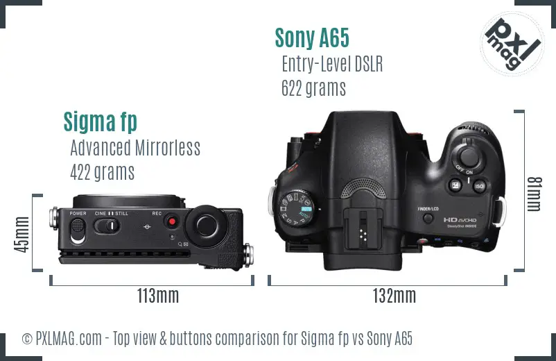 Sigma fp vs Sony A65 top view buttons comparison