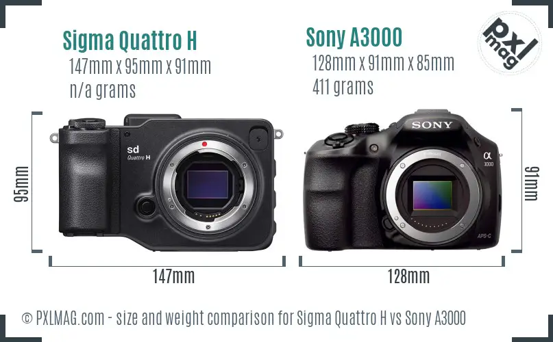 Sigma Quattro H vs Sony A3000 size comparison