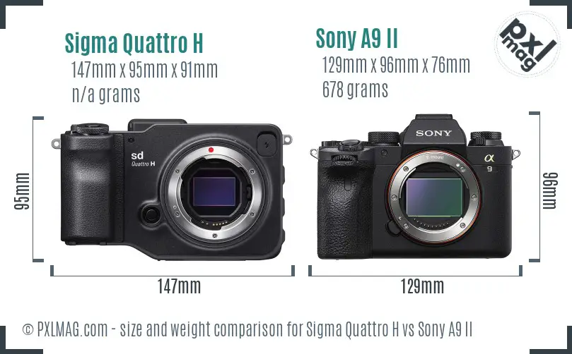 Sigma Quattro H vs Sony A9 II size comparison Sigma Quattro H vs Sony A9 II size comparison