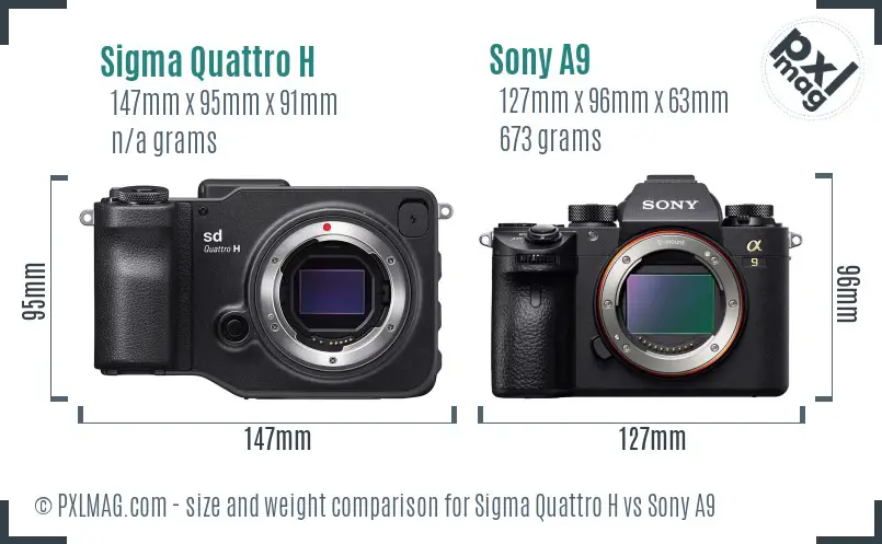 Sigma Quattro H vs Sony A9 size comparison Sigma Quattro H vs Sony A9 size comparison