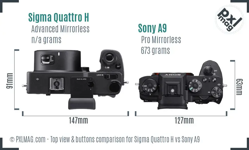 Sigma Quattro H vs Sony A9 top view buttons comparison Sigma Quattro H vs Sony A9 top view buttons comparison