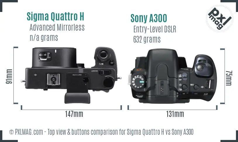 Sigma Quattro H vs Sony A300 top view buttons comparison