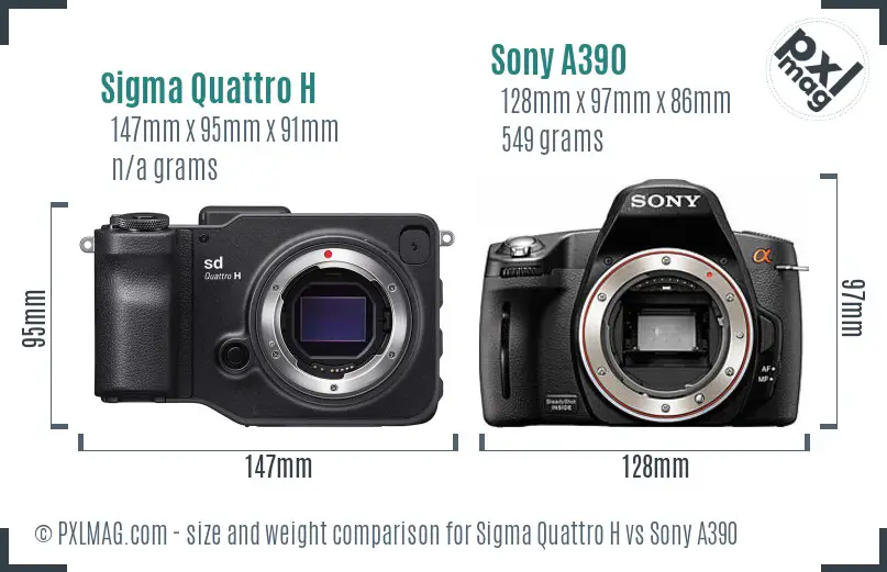 Sigma Quattro H vs Sony A390 size comparison