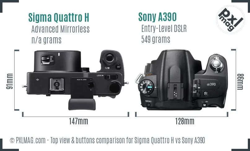 Sigma Quattro H vs Sony A390 top view buttons comparison