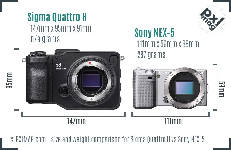 Sigma Quattro H vs Sony NEX-5 size comparison