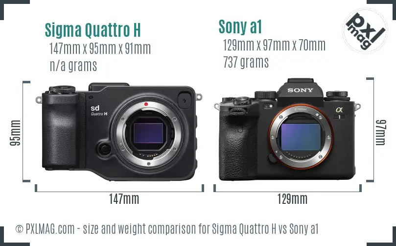 Sigma Quattro H vs Sony a1 size comparison