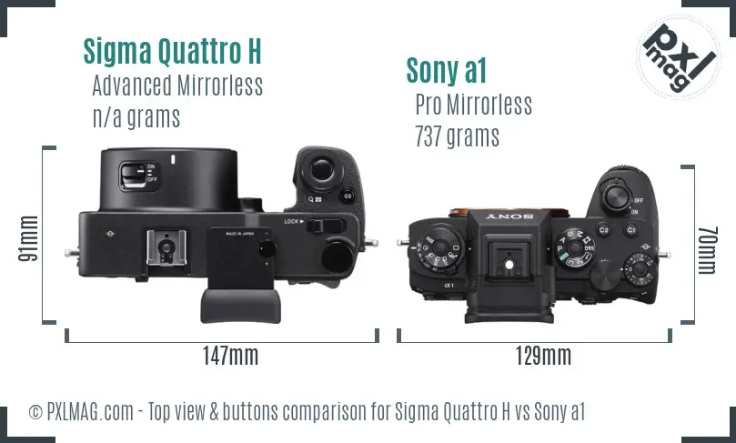 Sigma Quattro H vs Sony a1 top view buttons comparison