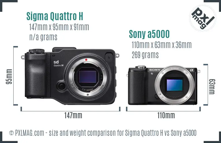 Sigma Quattro H vs Sony a5000 size comparison