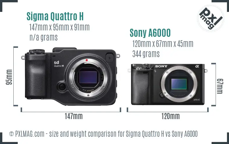 Sigma Quattro H vs Sony A6000 size comparison