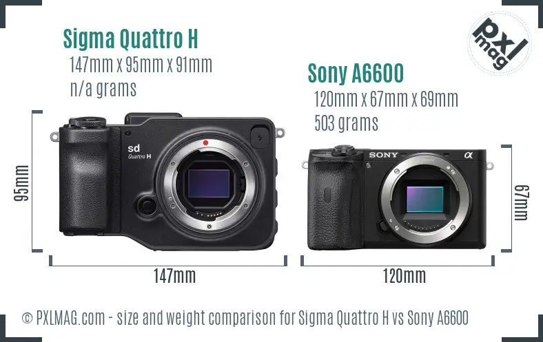 Sigma Quattro H vs Sony A6600 size comparison