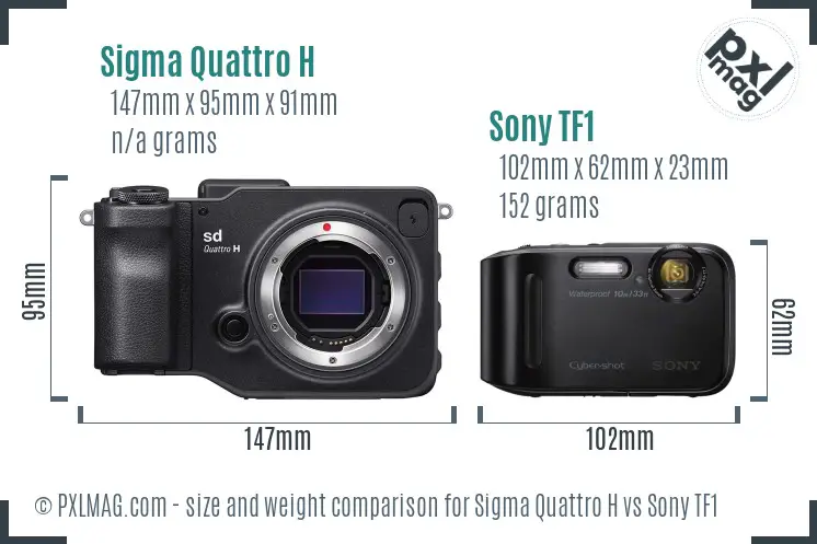 Sigma Quattro H vs Sony TF1 size comparison