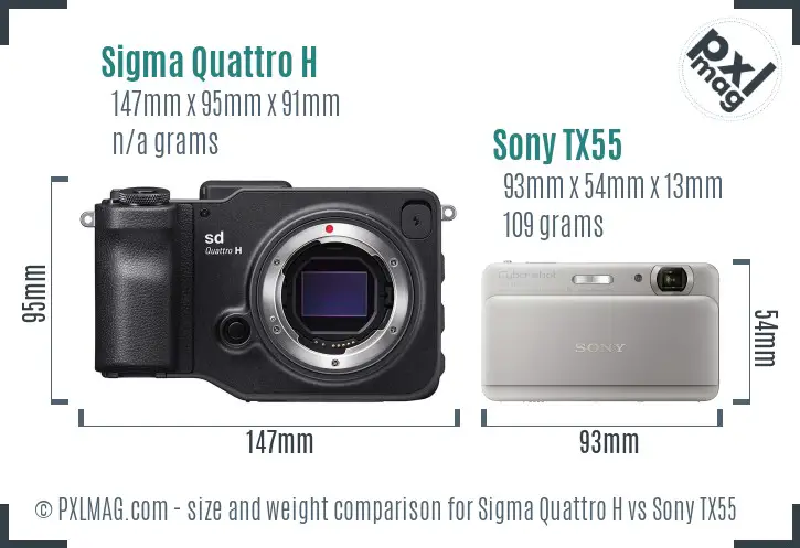 Sigma Quattro H vs Sony TX55 size comparison