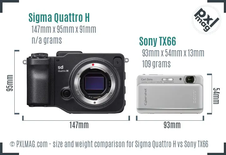 Sigma Quattro H vs Sony TX66 size comparison