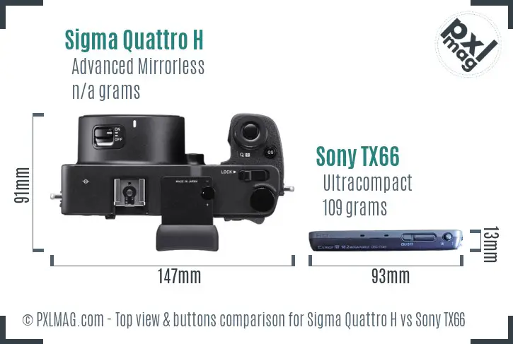 Sigma Quattro H vs Sony TX66 top view buttons comparison