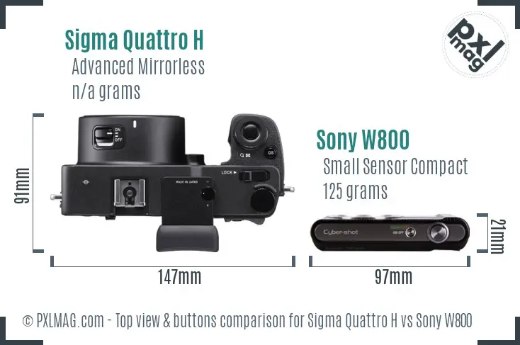 Sigma Quattro H vs Sony W800 top view buttons comparison