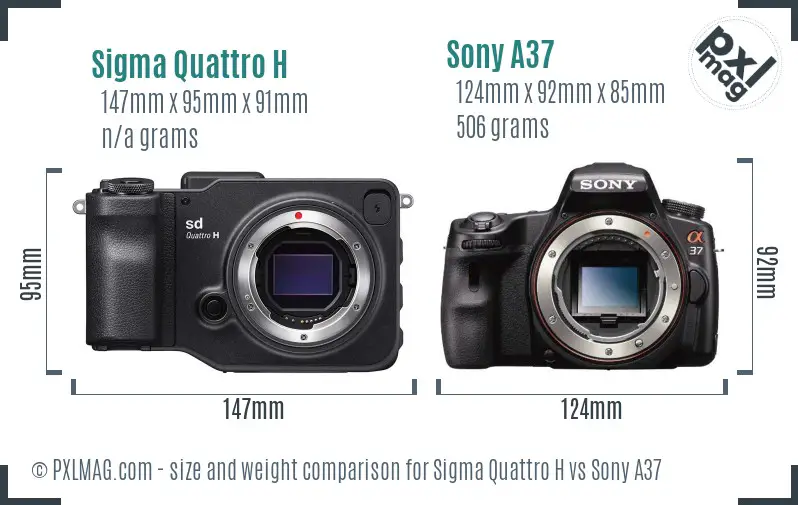 Sigma Quattro H vs Sony A37 size comparison