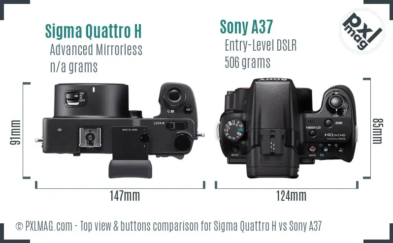 Sigma Quattro H vs Sony A37 top view buttons comparison