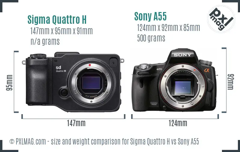 Sigma Quattro H vs Sony A55 size comparison