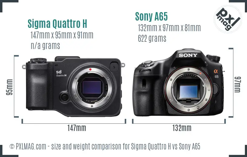 Sigma Quattro H vs Sony A65 size comparison