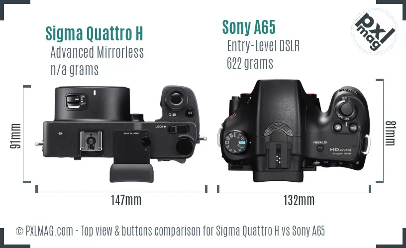 Sigma Quattro H vs Sony A65 top view buttons comparison