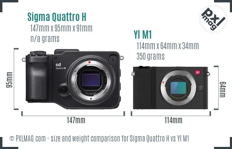 Sigma Quattro H vs YI M1 size comparison