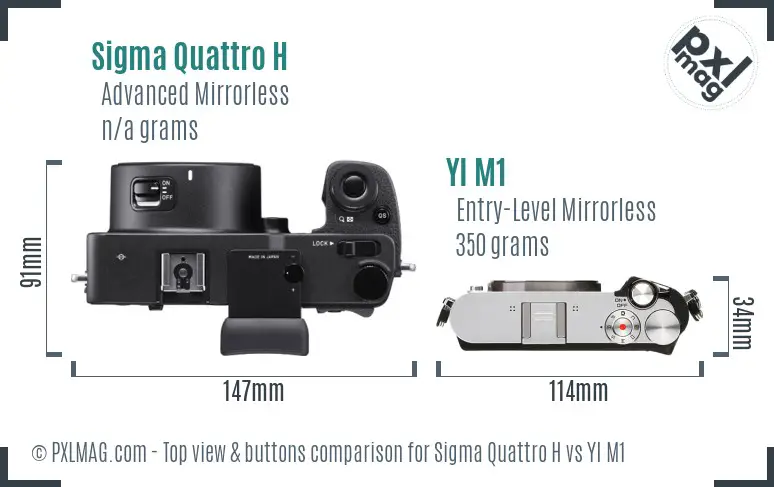 Sigma Quattro H vs YI M1 top view buttons comparison