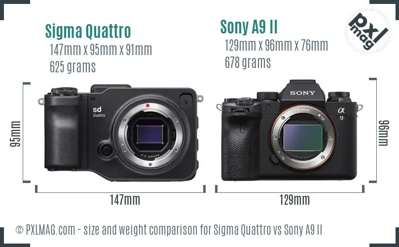 Sigma Quattro vs Sony A9 II size comparison