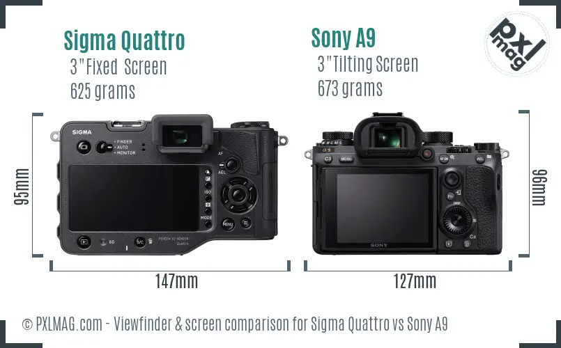 Sigma Quattro vs Sony A9 Screen and Viewfinder comparison Sigma Quattro vs Sony A9 Screen and Viewfinder comparison