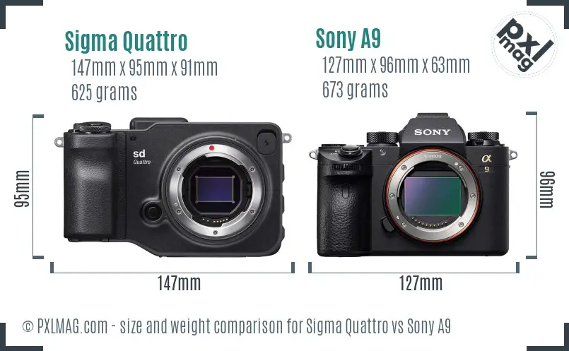 Sigma Quattro vs Sony A9 size comparison Sigma Quattro vs Sony A9 size comparison