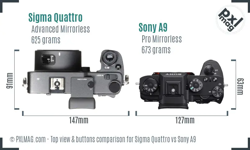 Sigma Quattro vs Sony A9 top view buttons comparison Sigma Quattro vs Sony A9 top view buttons comparison