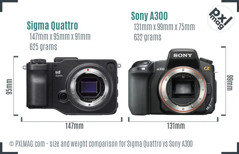 Sigma Quattro vs Sony A300 size comparison