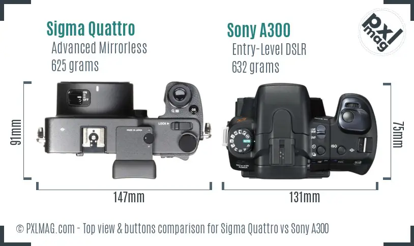 Sigma Quattro vs Sony A300 top view buttons comparison