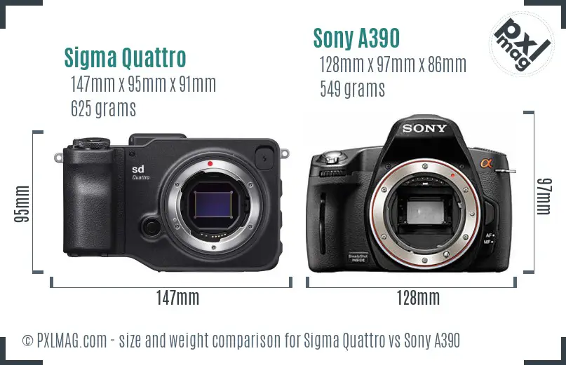 Sigma Quattro vs Sony A390 size comparison Sigma Quattro vs Sony A390 size comparison