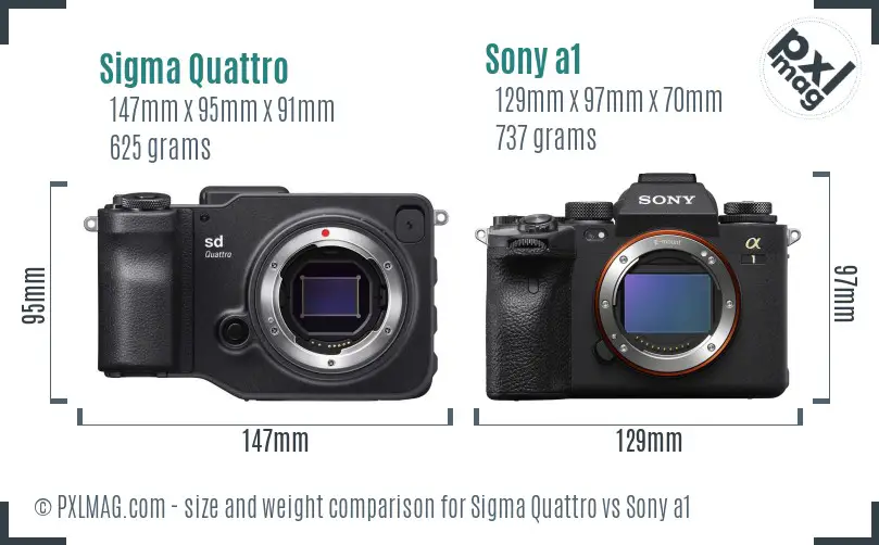 Sigma Quattro vs Sony a1 size comparison