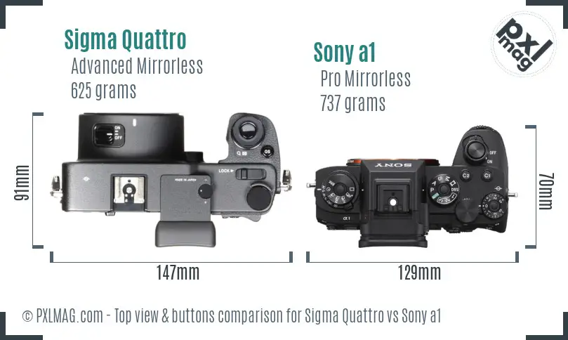 Sigma Quattro vs Sony a1 top view buttons comparison