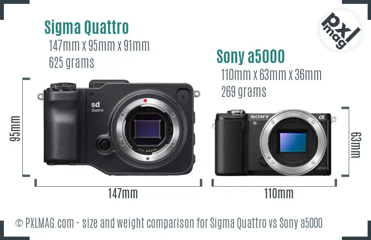 Sigma Quattro vs Sony a5000 size comparison