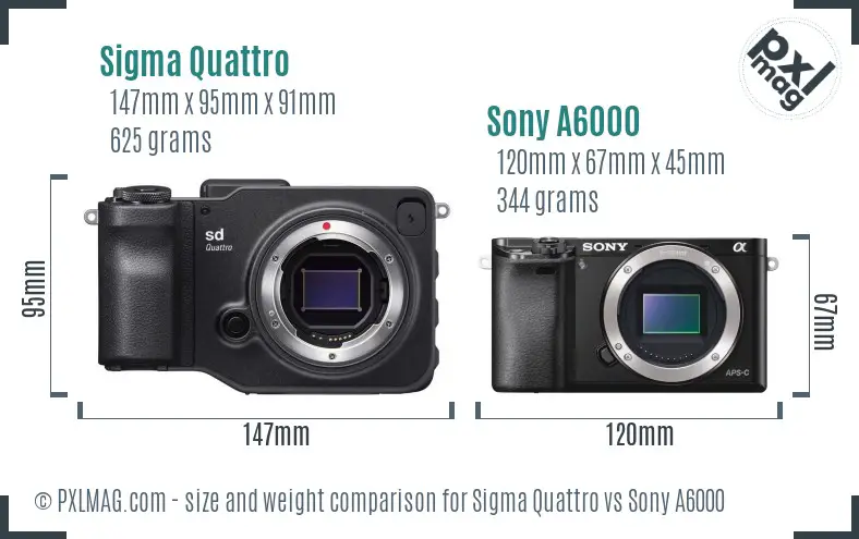 Sigma Quattro vs Sony A6000 size comparison