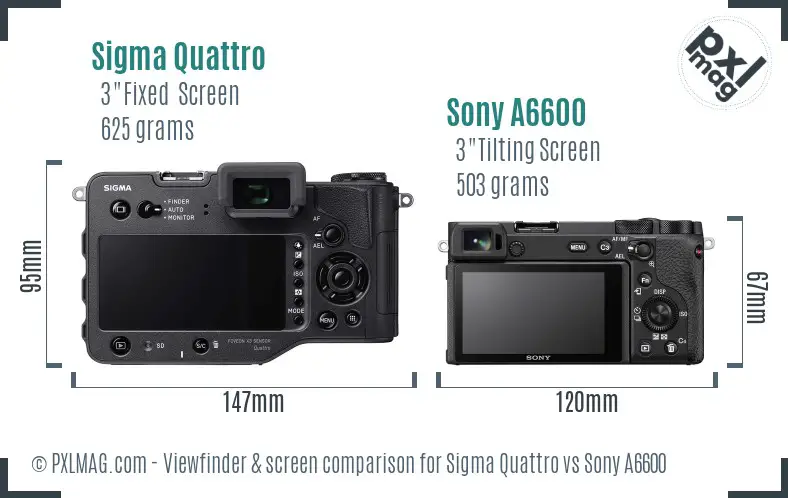 Sigma Quattro vs Sony A6600 Screen and Viewfinder comparison