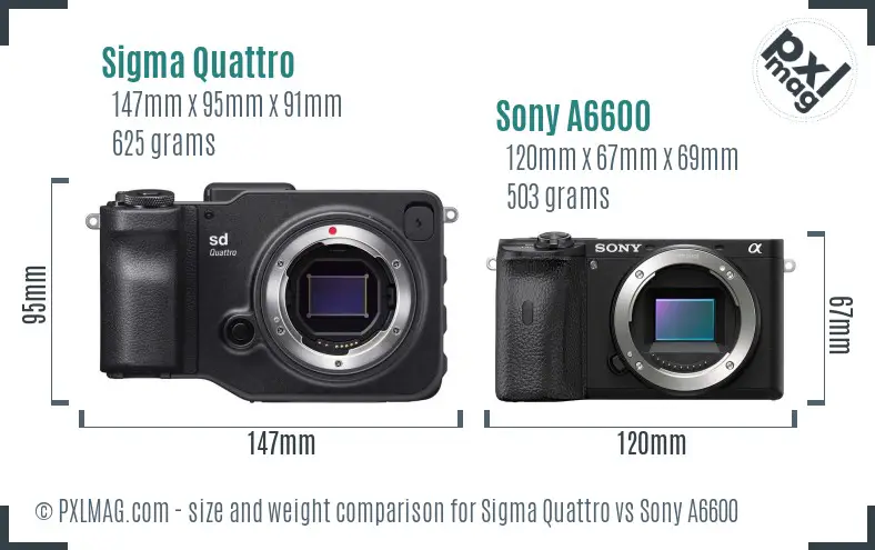 Sigma Quattro vs Sony A6600 size comparison
