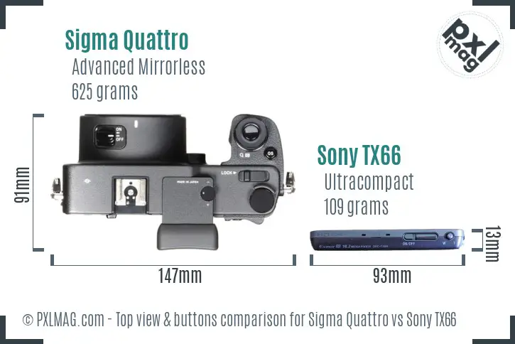Sigma Quattro vs Sony TX66 top view buttons comparison