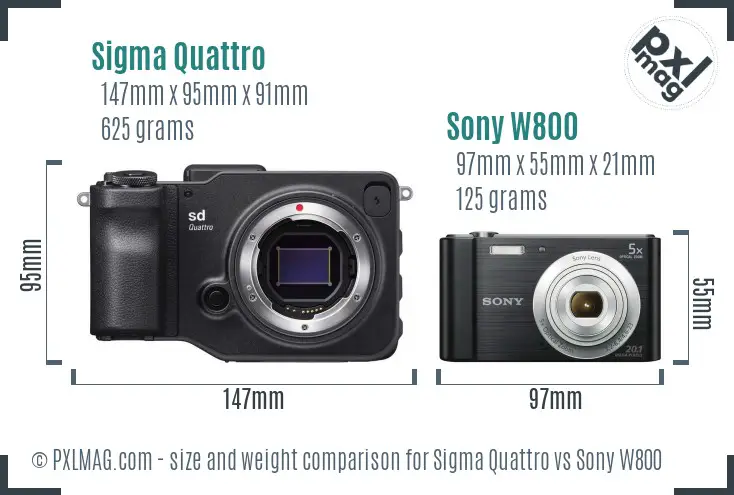 Sigma Quattro vs Sony W800 size comparison