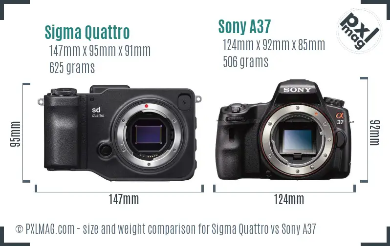 Sigma Quattro vs Sony A37 size comparison