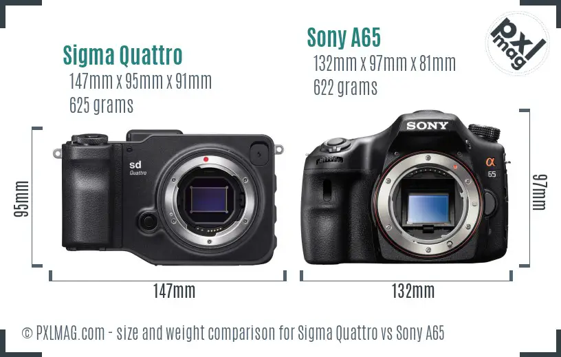 Sigma Quattro vs Sony A65 size comparison