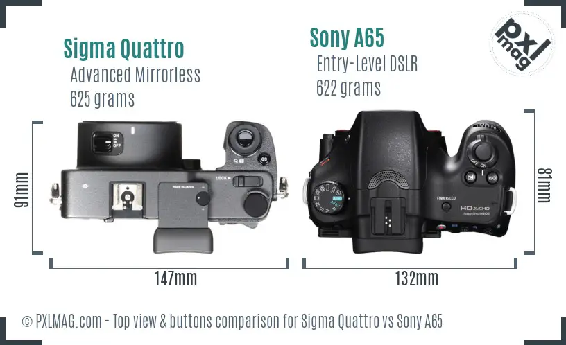 Sigma Quattro vs Sony A65 top view buttons comparison