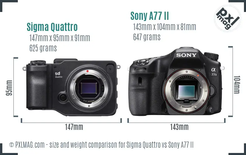 Sigma Quattro vs Sony A77 II size comparison